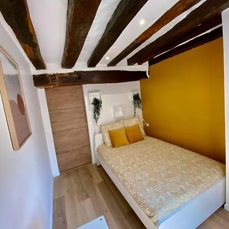 Apartment Le Mimosa Rouen